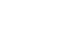 Ned Stevens Gutter Cleaning® Logo