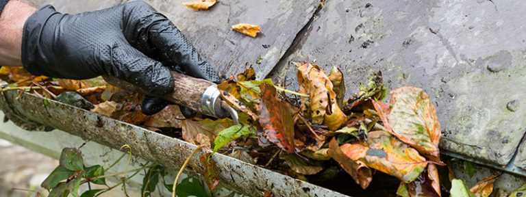 Why Do I Need To Clean My Gutters? | Ned Stevens