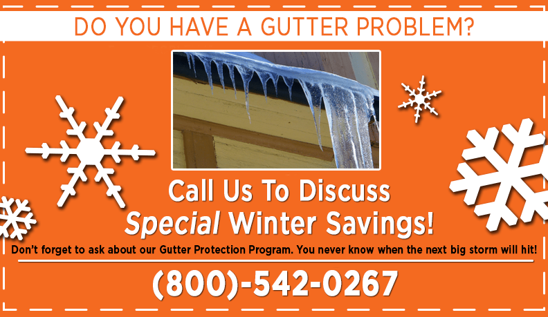 ned stevens special winter savings on gutter cleaning services