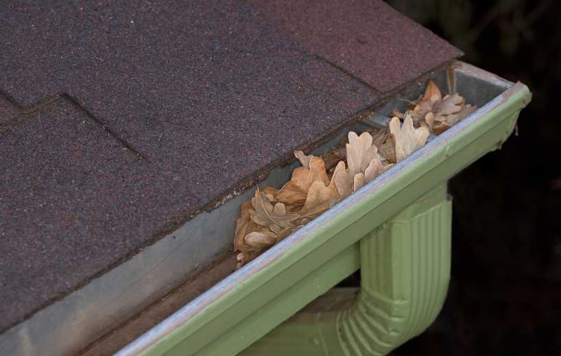 gutter blocked by dry leaves
