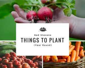 things-to-plant