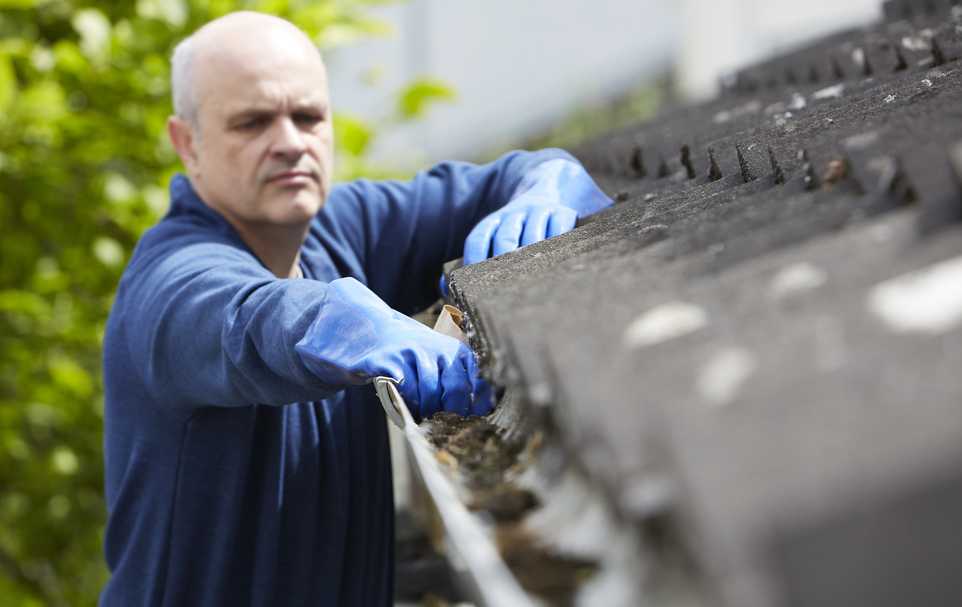 Man Clearing Leaves From Guttering Of House