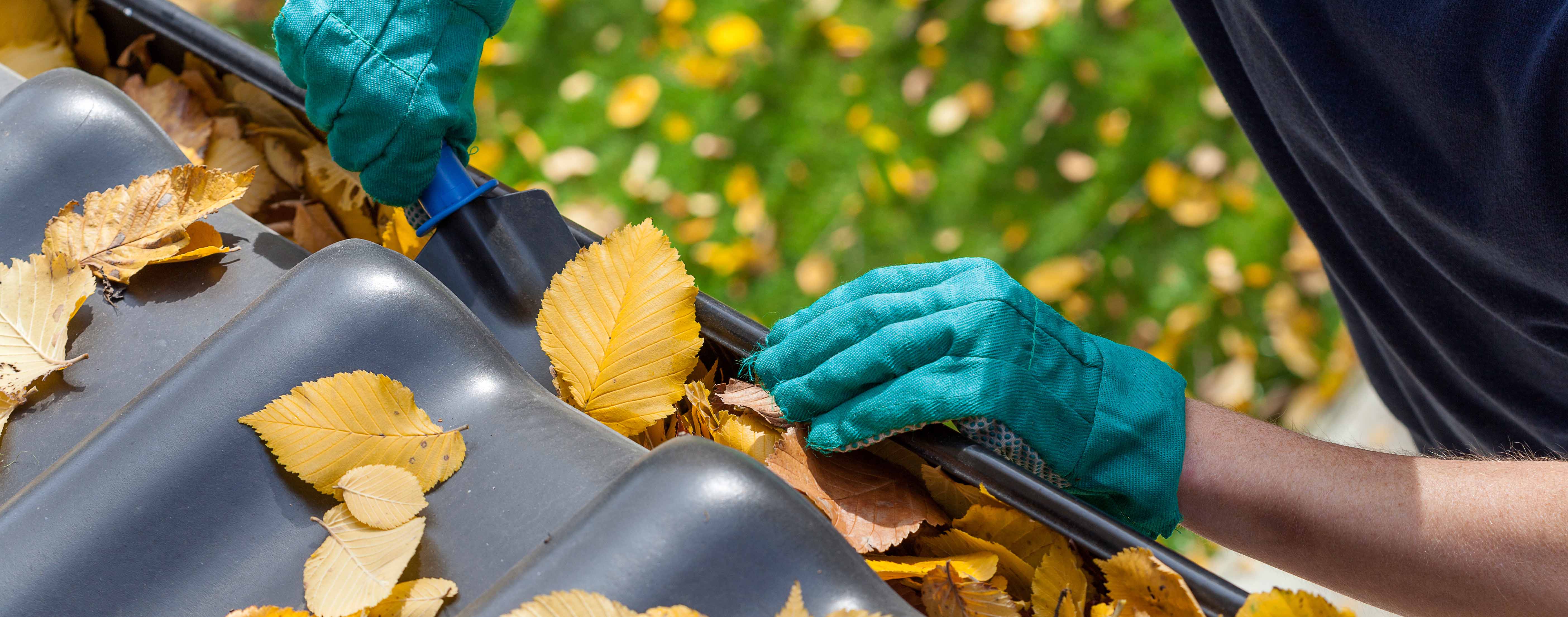 Gutter Cleaning, Repair, and Installation Services in Buffalo Grove, Illinois