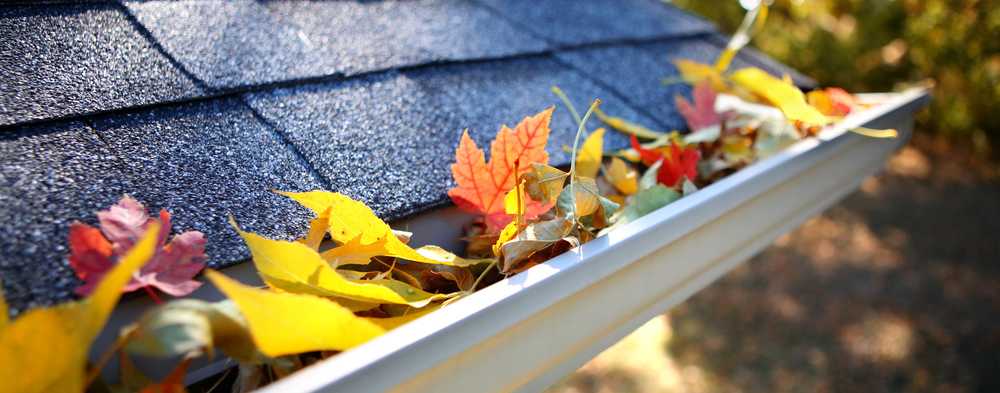 Common Gutter Problems And Their Solutions