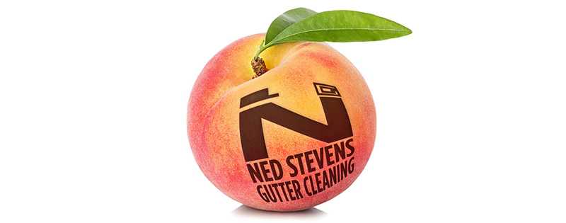 Ned Stevens Brings Its Talents To The Peach State