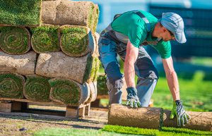 A good landscaper is worthy of the hire