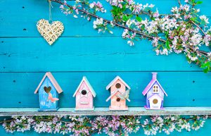Birdhouses are a great DIY way to make your backyard beautiful
