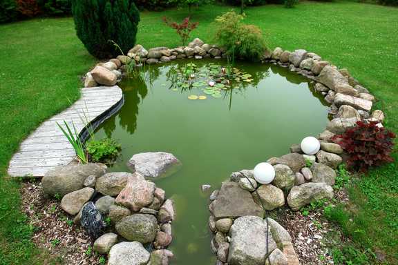 Get inspired with the pond building project!