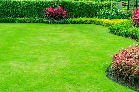 The first thing a buyer will see is your front lawn.