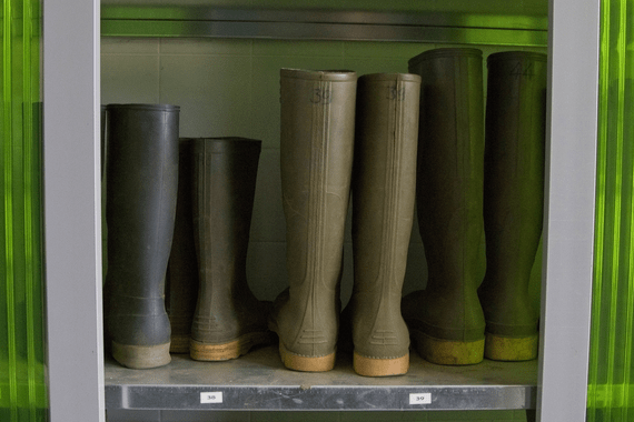 Rain boots on a shelf