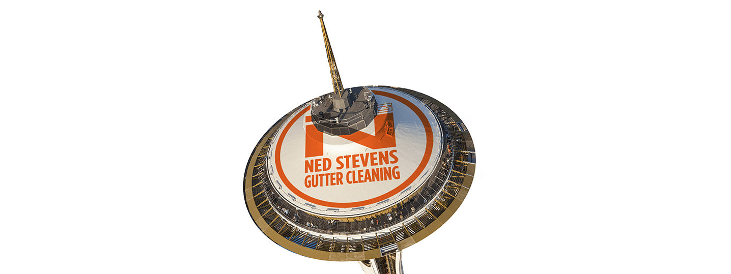 Ned Stevens Brings Gutter Cleaning To Seattle In March 2018
