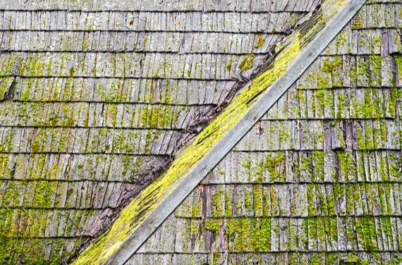 green mold on a roof