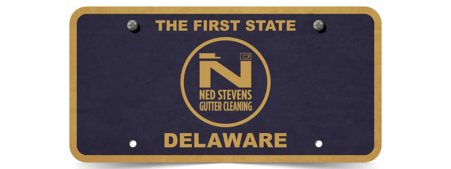 Ned Stevens Brings Gutter Cleaning To Delaware