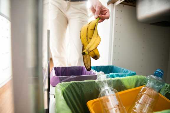 Person throwing out banana peel. 