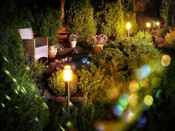 Patio at night filled with plants and lights.