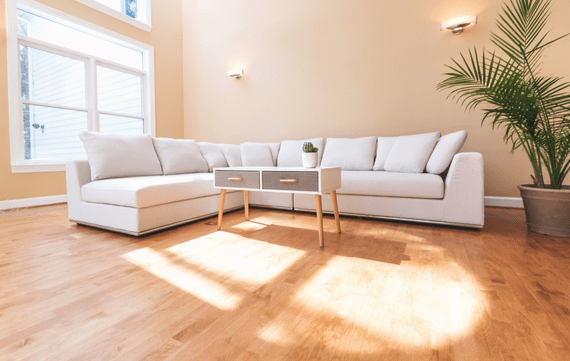 Large white sectional couch on wooden floor with plant in corner. 