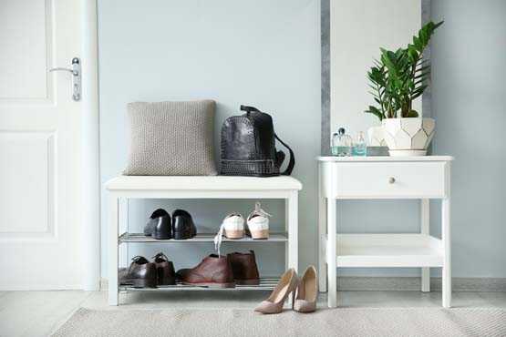 Stylish entryway with shoes on rack and potted plant. 