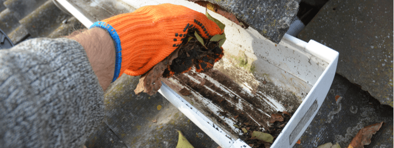 technician hand cleaning out gutter