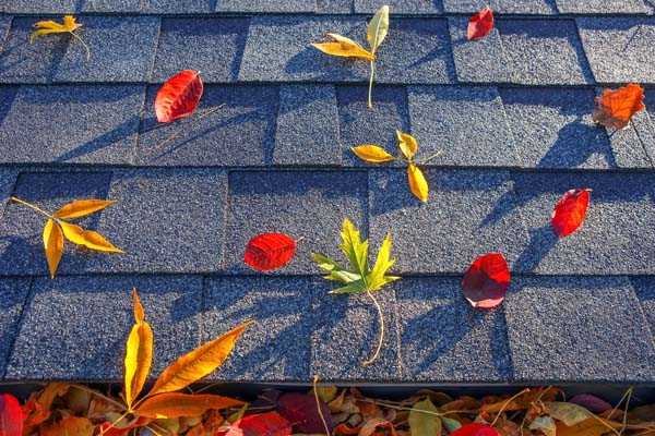 fall leaves on roof