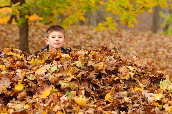 Young boy jumping in pile of fall multi colored leaves.