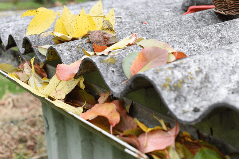 Don’t Worry About Your Gutters This Year. Here’s How:
