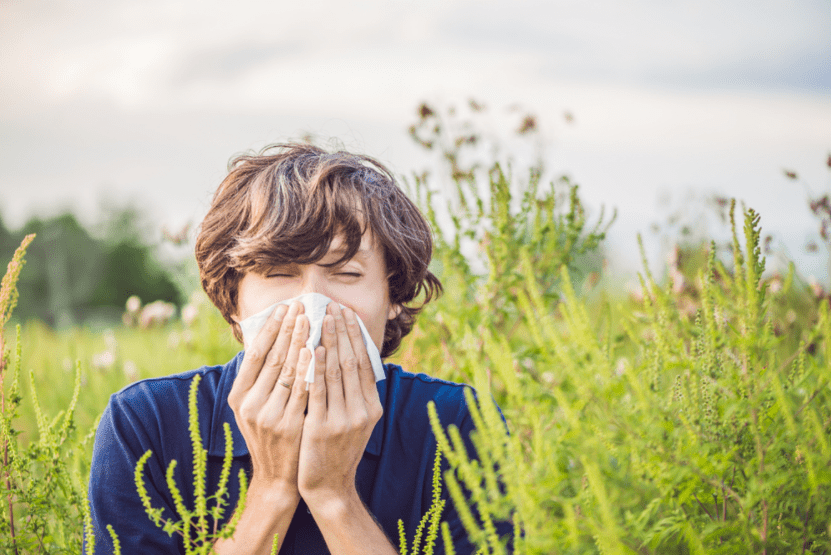 Why Pollen And Gutters Are A Bad Combination