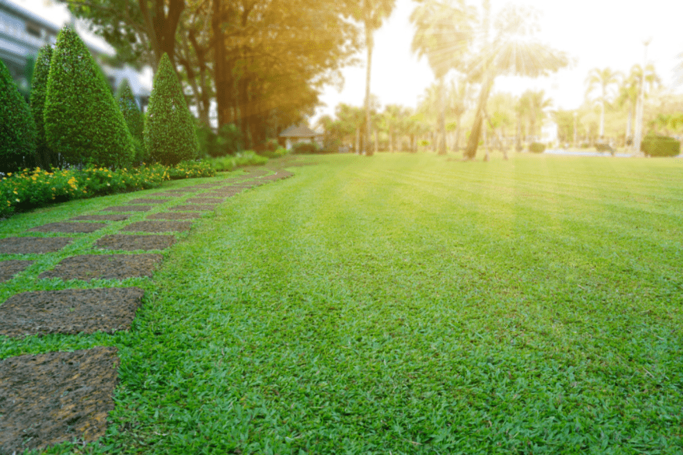 What To Know About Spring Lawn Care