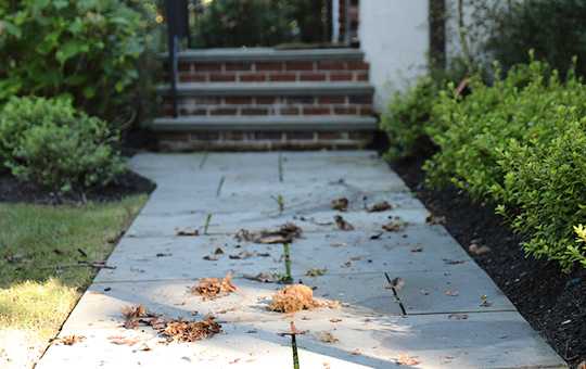Ned Stevens Gutter Cleaning® and Home Services