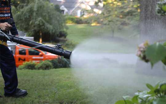 Mosquito killers on sale for yard