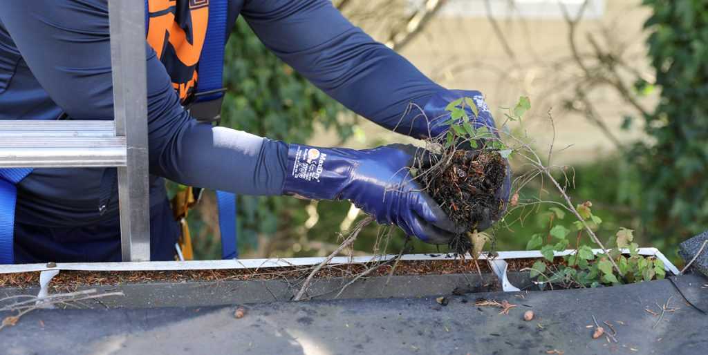What is Gutter Sludge? Causes and Prevention