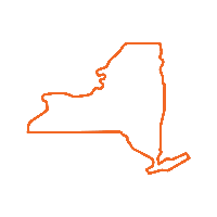 Newyork State Icon Orange