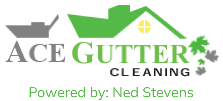 Ace Gutter Cleaning logo