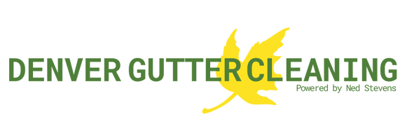 Denver Gutter Cleaning logo