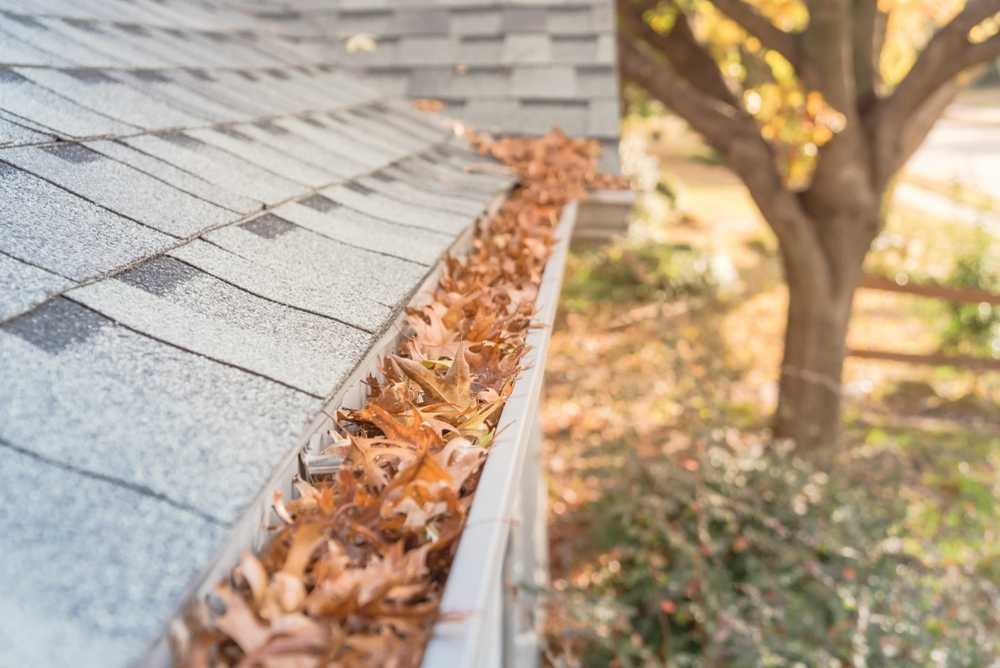 Gutter Repair, Installation, and Cleaning Services in Thornton, CO