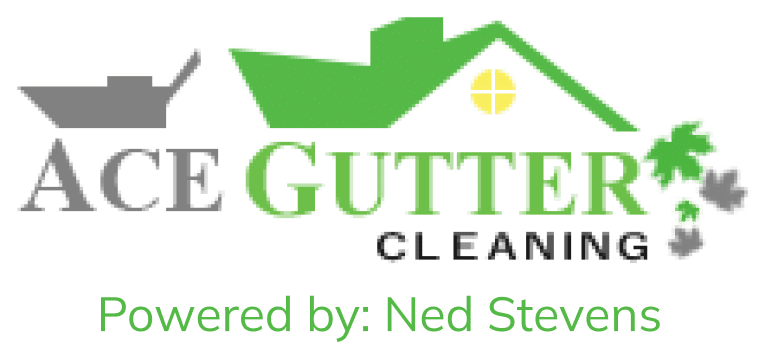 Atlanta's Best Gutter logo