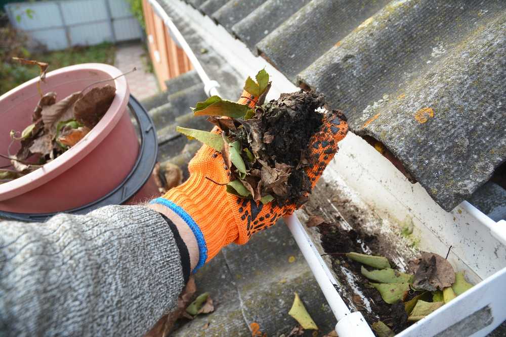 7 Negative Effects of Leaves Clogging Your Gutter System