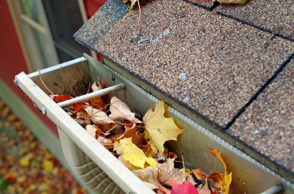 Gutter Cleaning Tips for the Fall, Winter, Spring, and Summer Seasons