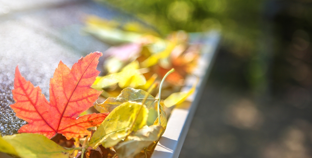 Top 10 Reasons to Clean Your Gutters in September