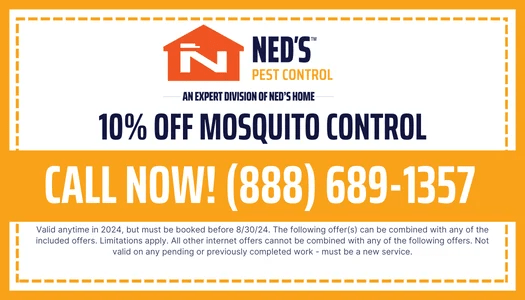 Ned's Home Current Offers