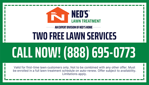 Nh Coupon Template Free Lawn