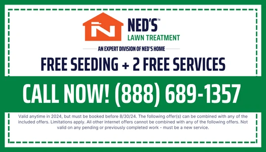 Ned's Home Current Offers