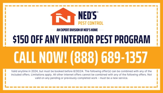 Ned's Home Current Offers