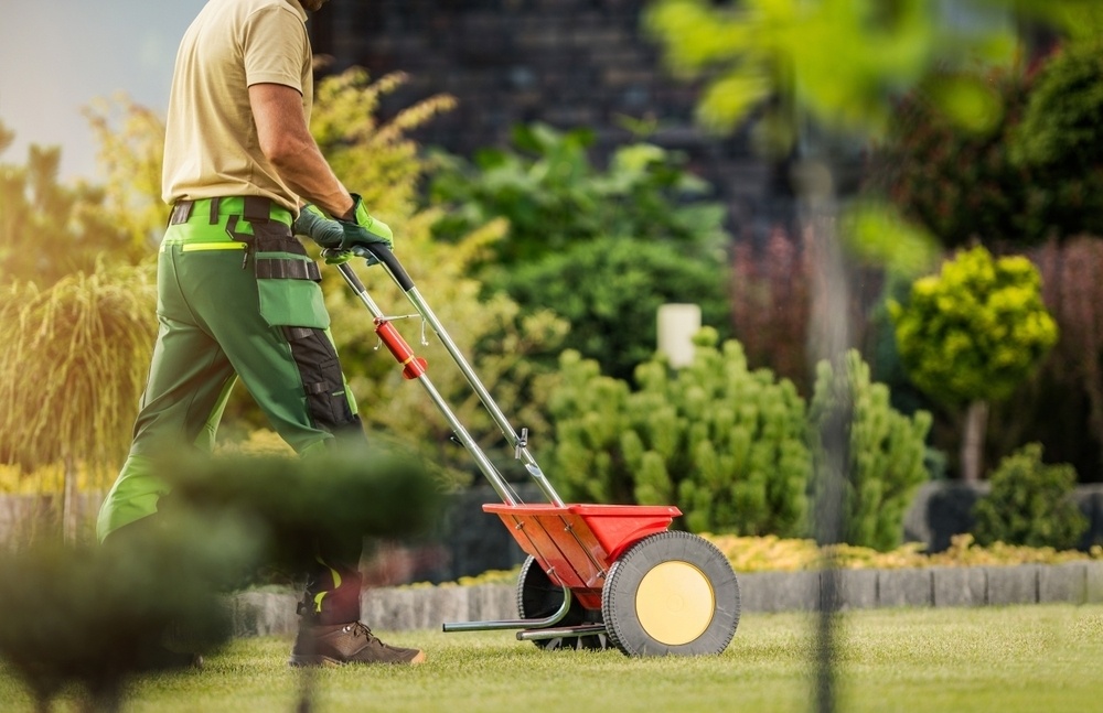 Lawn Fertilization Neds Home Photo