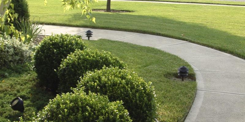 Professional Lawn Treatment Services (duplicate)