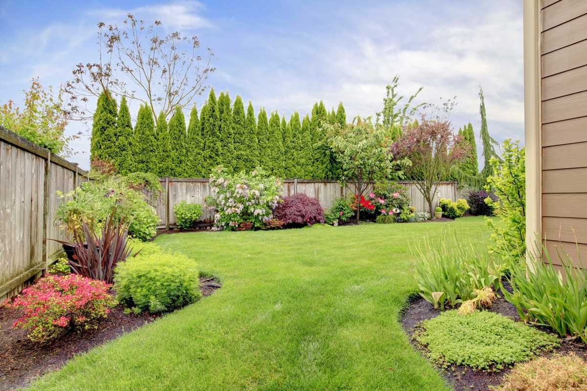 Lawn Care That Adds Real Estate Value: 6 Professional Tips