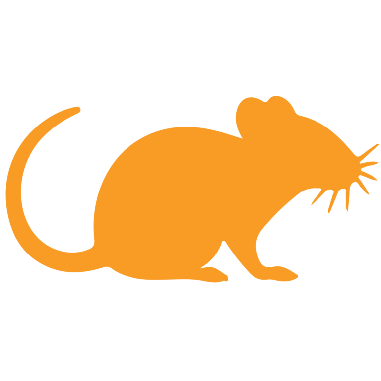 Orange icon of a rat representing Ned’s Pest Control rodent control services in New Jersey