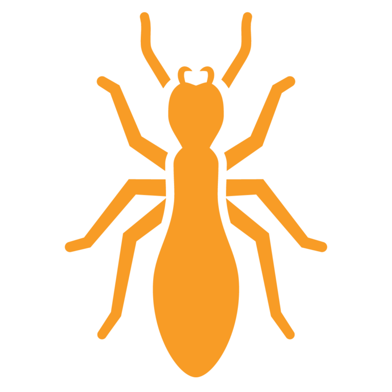 Orange icon of a termite representing Ned’s Pest Control termite control services in New Jersey