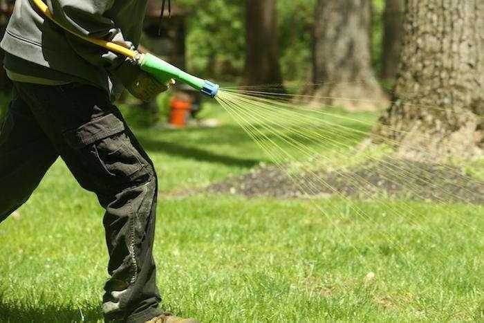 Lawn Care Services In Delaware | Give Us A Call