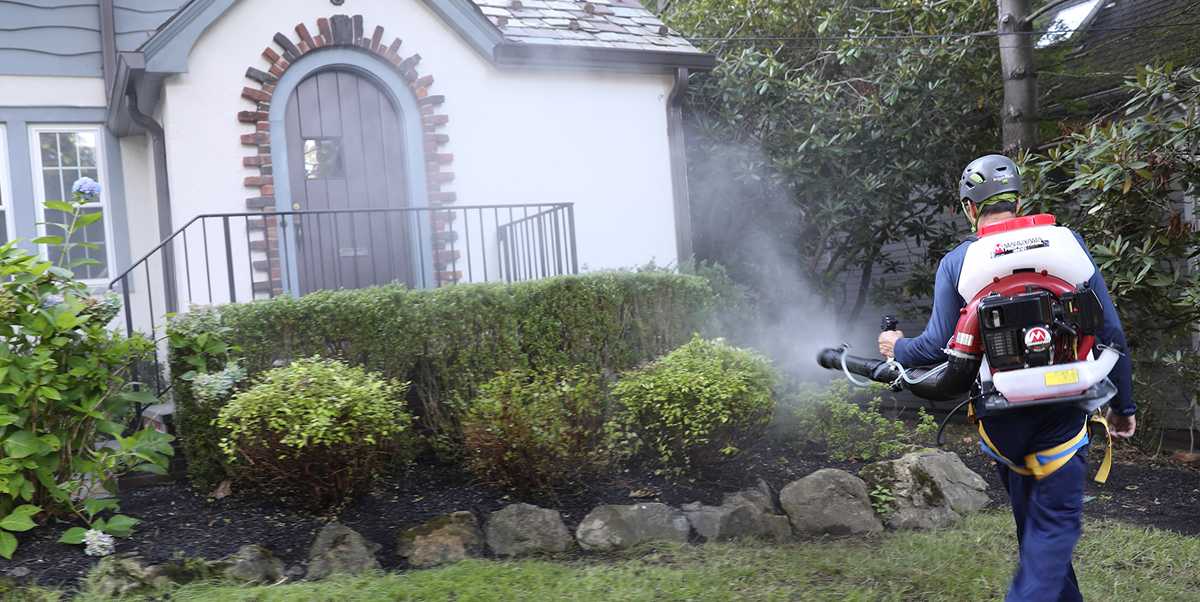 Ned's Home Mosquito & Tick Services