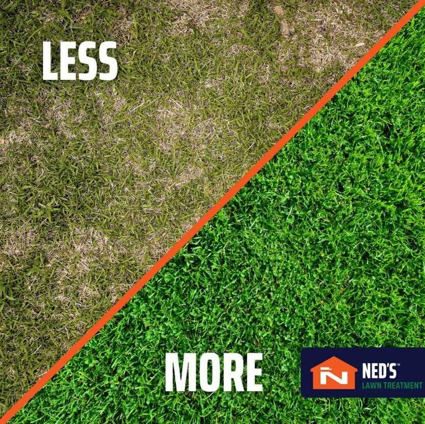 Lawn Care Services In Delaware | Give Us A Call